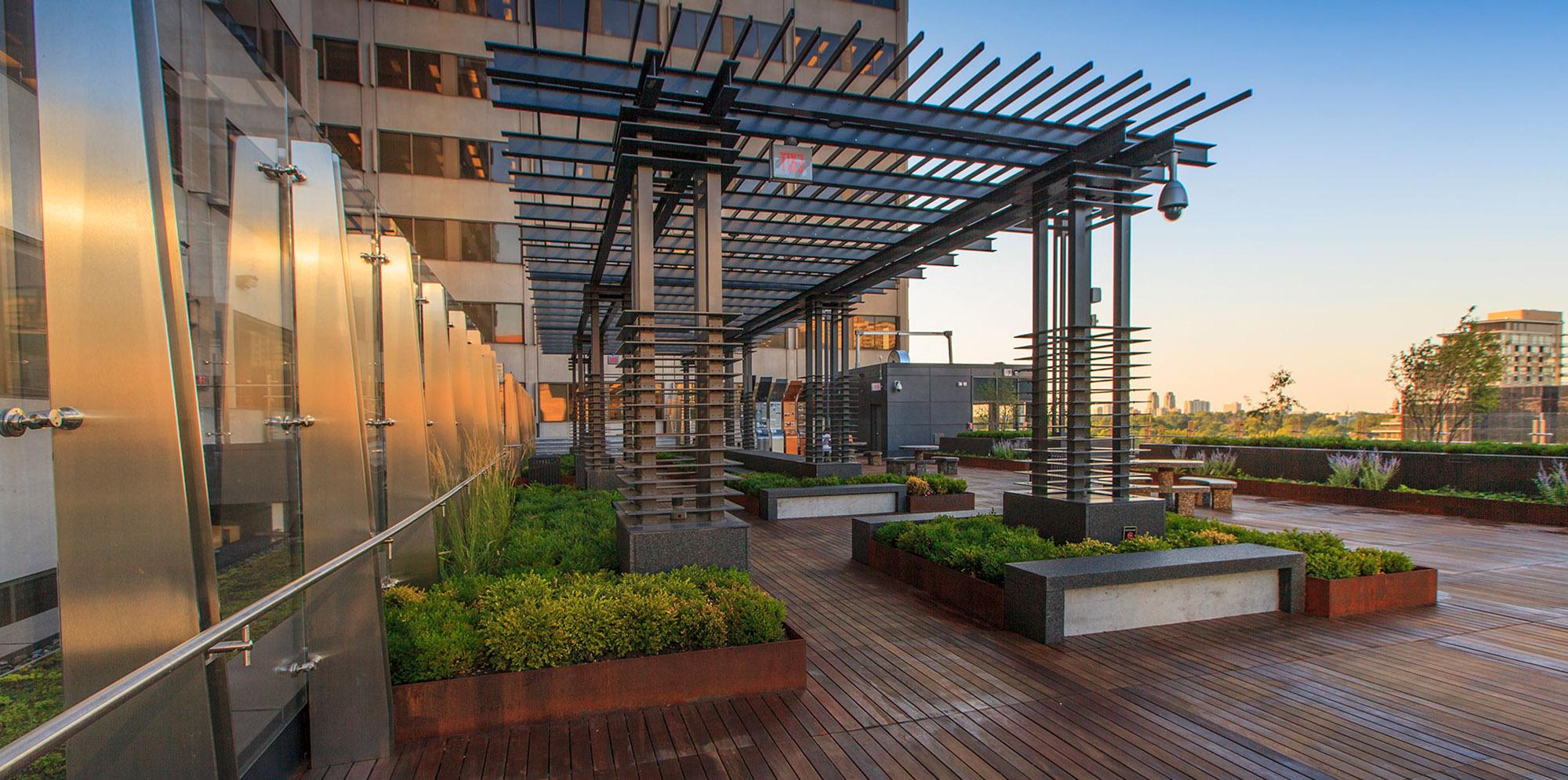 Yonge Eglinton rooftop patio view